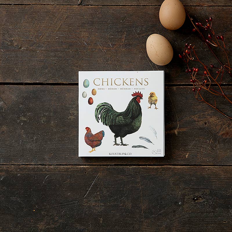 Chickens Square Notecards | 8 Quality Cards | Made in Europe